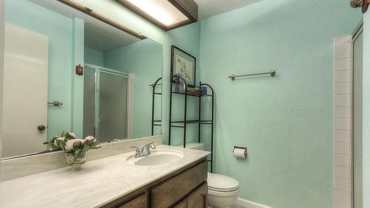 Checking if Bathroom works before buying a fixer upper